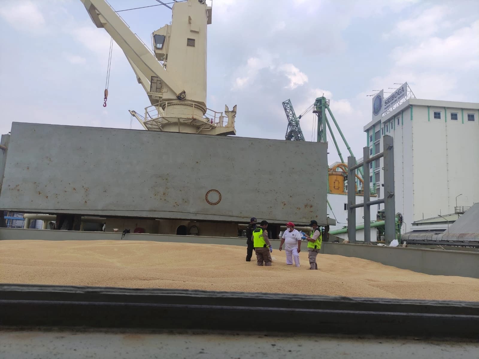 Plant Quarantine Inspection