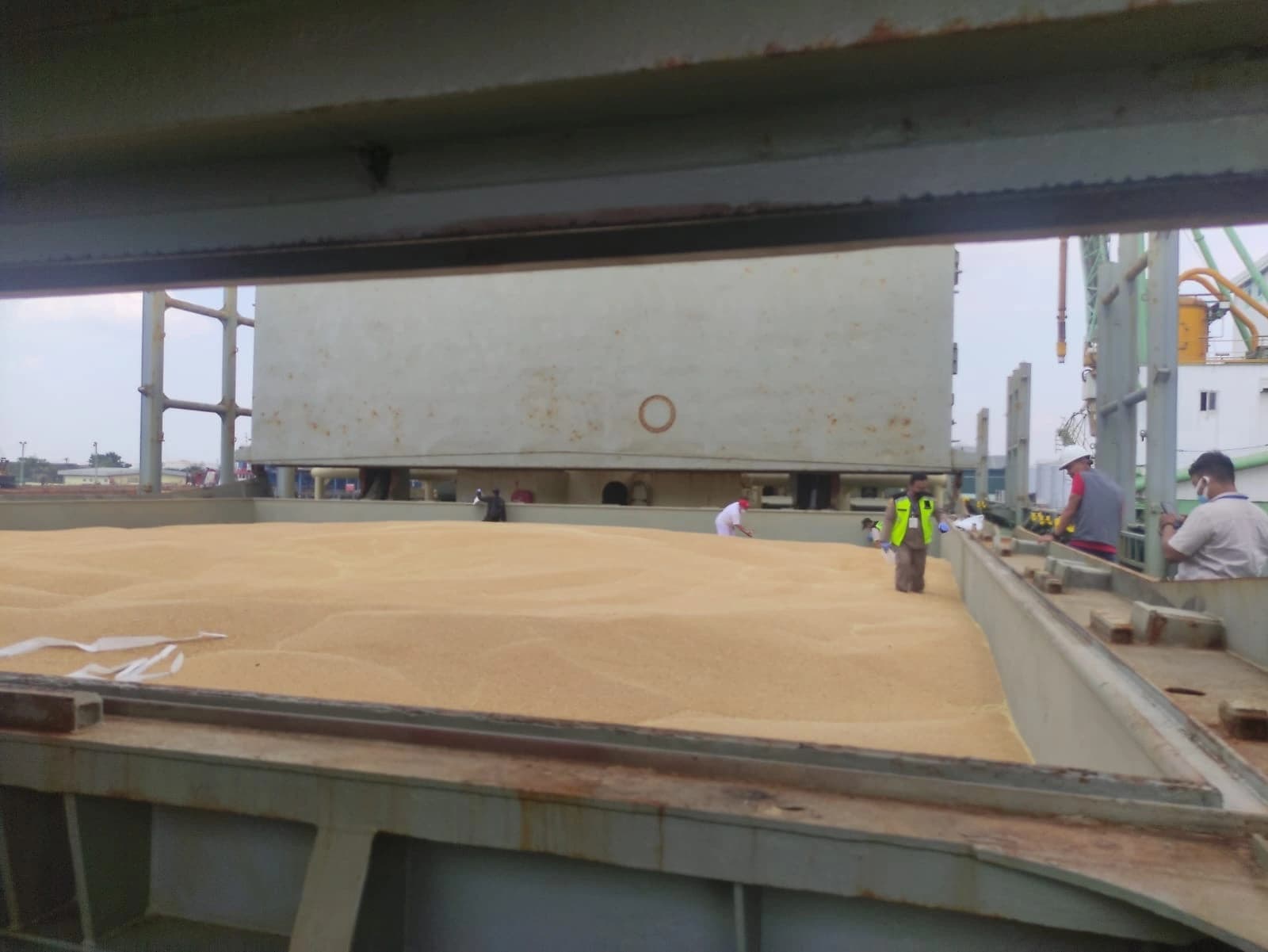 Plant Quarantine Inspection